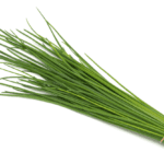 Chives