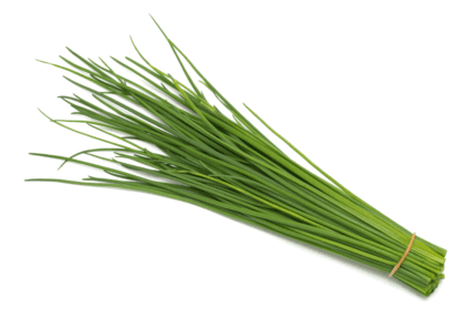 Chives