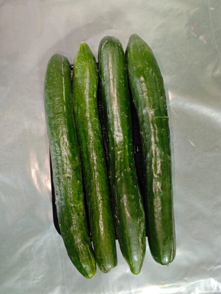 Pepinos en bandeja